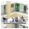 Hamaca Para Gatos Cama De Gato Cama Colgante Ventana Xl Pro