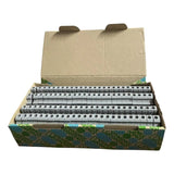 Bornera Phoenix Contact Ut6 Riel Din Caja 50 Unidades Gris Oscuro