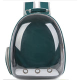 Mochila Bolso Transportes Transparente Mascotas Perros Gatos