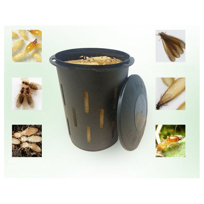 Caja De Cebo Para Termitas Subterranea Monitoreo Y Deteccion