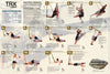 Bandas Suspension Entrenamiento Crossfit Tipo Trx Fitness